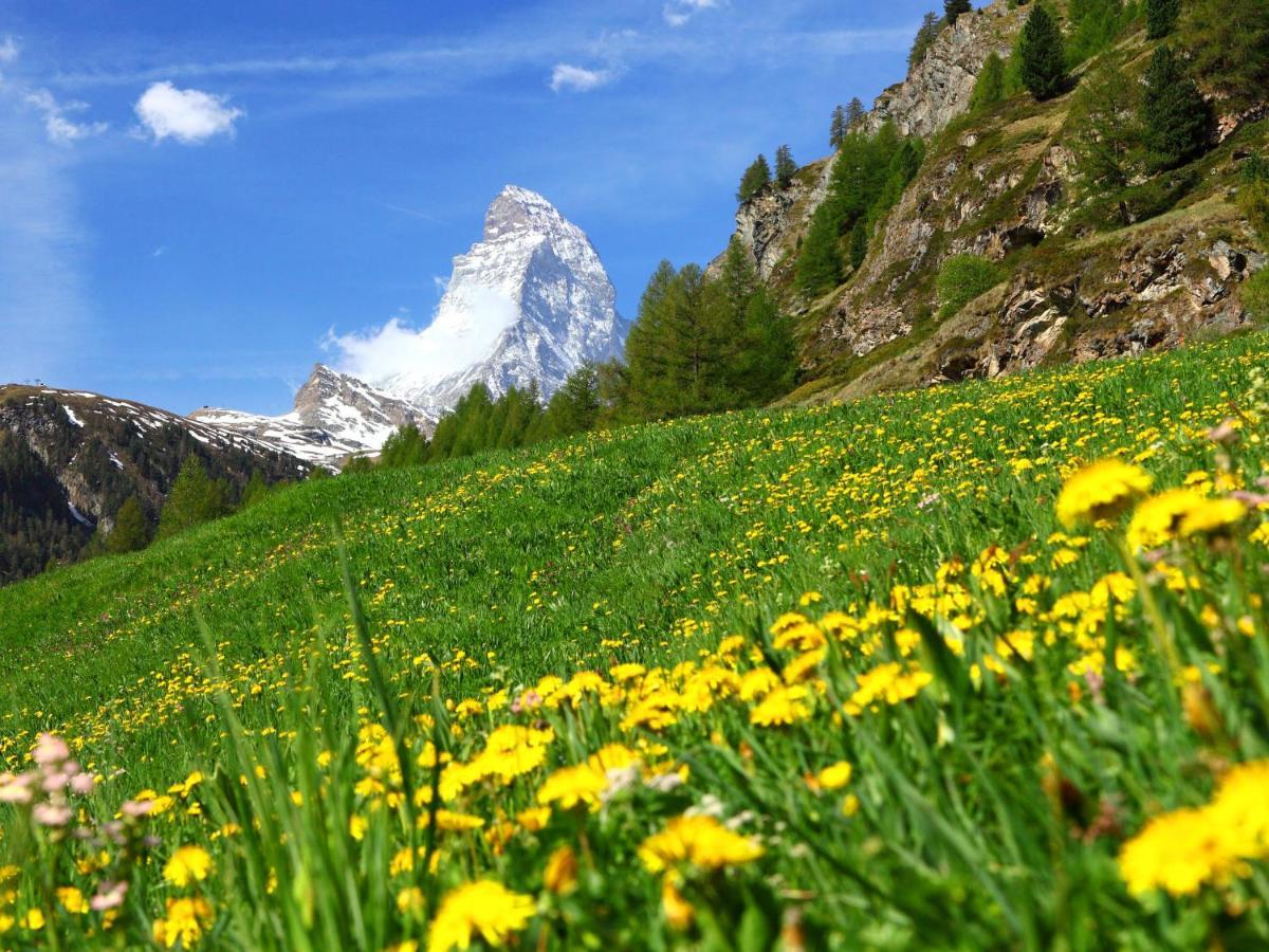 Apartment Silence-1 By Interhome Zermatt Exterior photo
